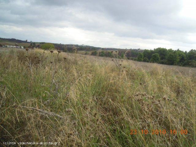 Ριτσωνα Βιομηχανικη Εκταση 70 Στρεμ. - Κωδ. 380 — Φωτογραφία 3
