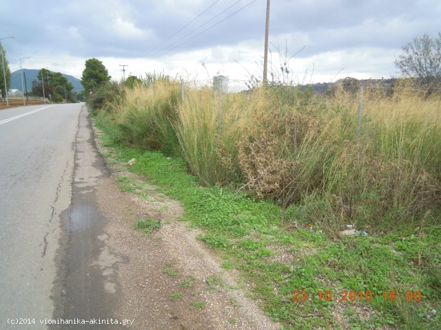 Ριτσωνα Βιομηχανικη Εκταση 70 Στρεμ. - Κωδ. 380 — Φωτογραφία 4