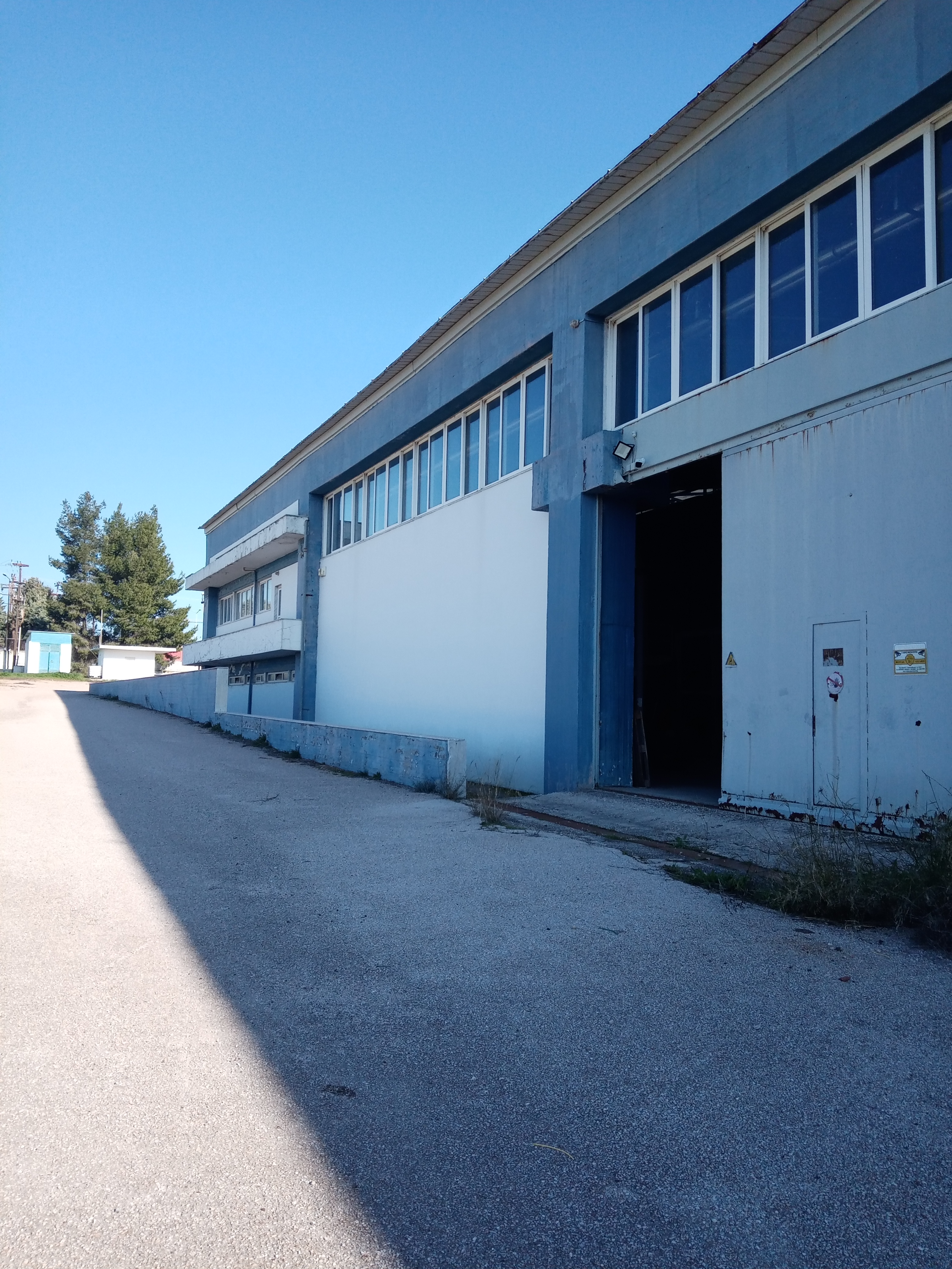 Οινόφυτα Βιομηχανικό Κτίριο 6000τμ - Κωδ. 446 — Φωτογραφία 4