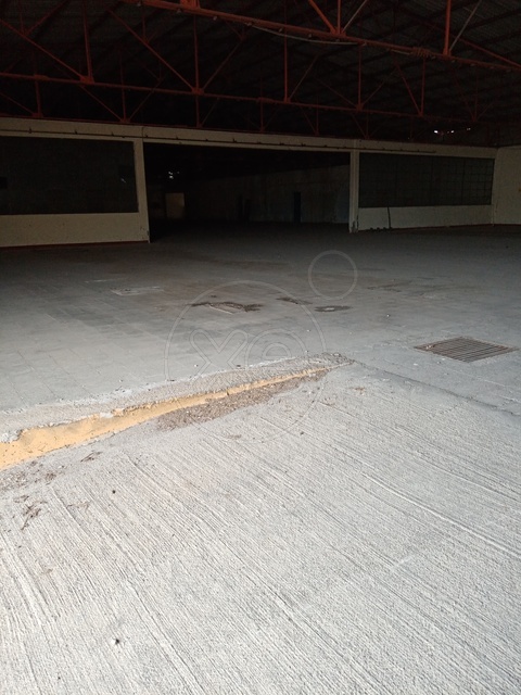 Θήβα Βιομηχανικό Κτίριο 18.000τμ - Κωδ. 449 — Φωτογραφία 3