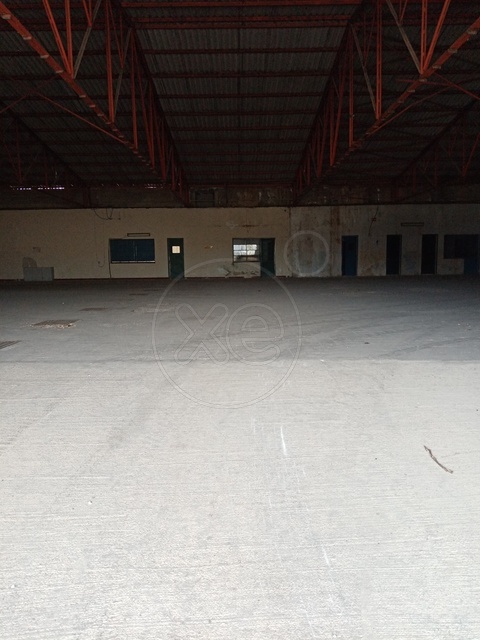 Θήβα Βιομηχανικό Κτίριο 18.000τμ - Κωδ. 449 — Φωτογραφία 4