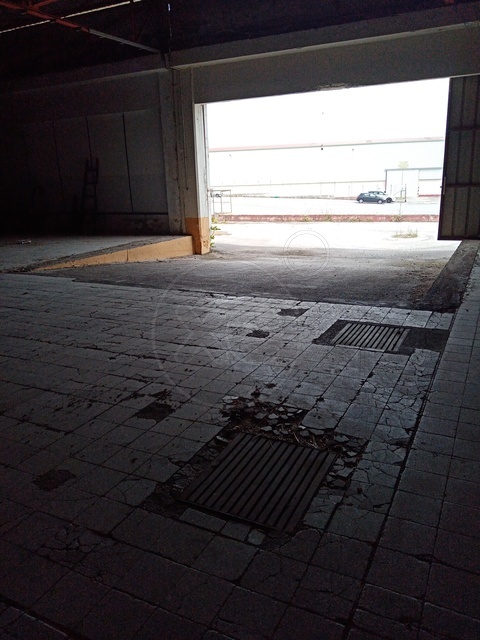 Θήβα Βιομηχανικό Κτίριο 18.000τμ - Κωδ. 449 — Φωτογραφία 5