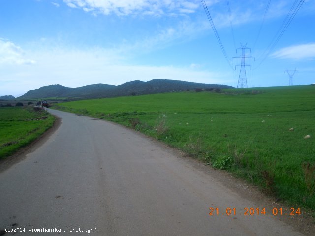 Θήβα Μουρίκι Αγροτική Έκταση 132 Στρεμ, - Κωδ. 470 — Φωτογραφία 2