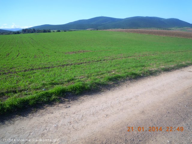 Ν.Βοιωτίας ʼΑρμα Βιομηχανική Έκταση 9 Στρεμ. - Κωδ. 473