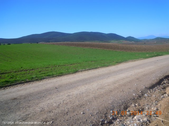 Ν.Βοιωτίας ʼΑρμα Βιομηχανική Έκταση 9 Στρεμ. - Κωδ. 473 — Φωτογραφία 2