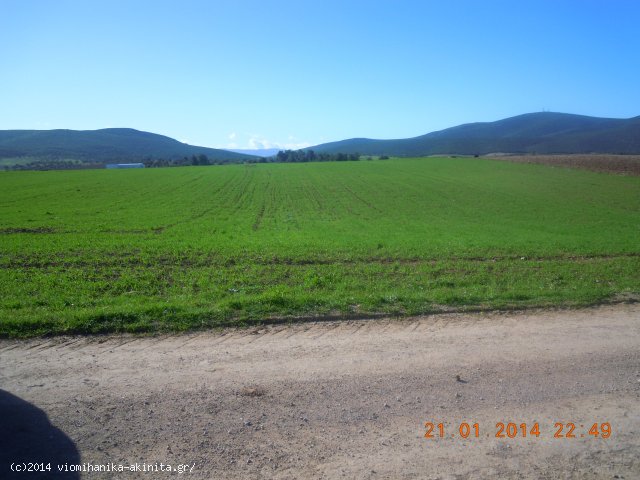 Ν.Βοιωτίας ʼΑρμα Βιομηχανική Έκταση 9 Στρεμ. - Κωδ. 473 — Φωτογραφία 3