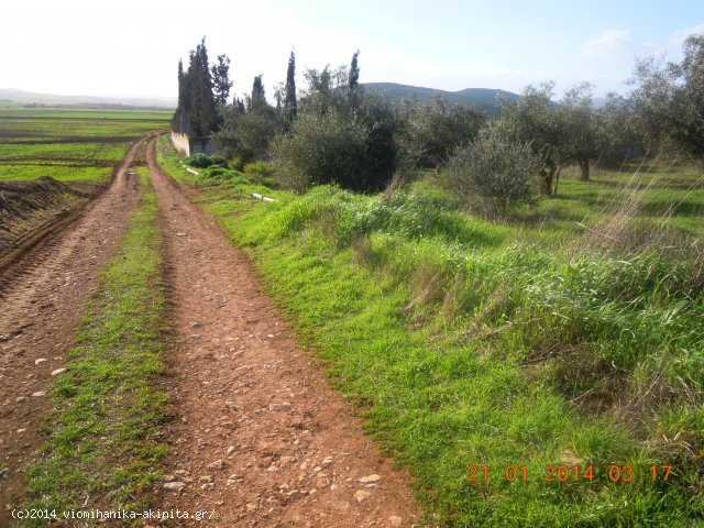 Θήβα Ελεώνας Βιομηχανική Έκταση 8,1 Στρεμ. - Κωδ. 474 — Φωτογραφία 2
