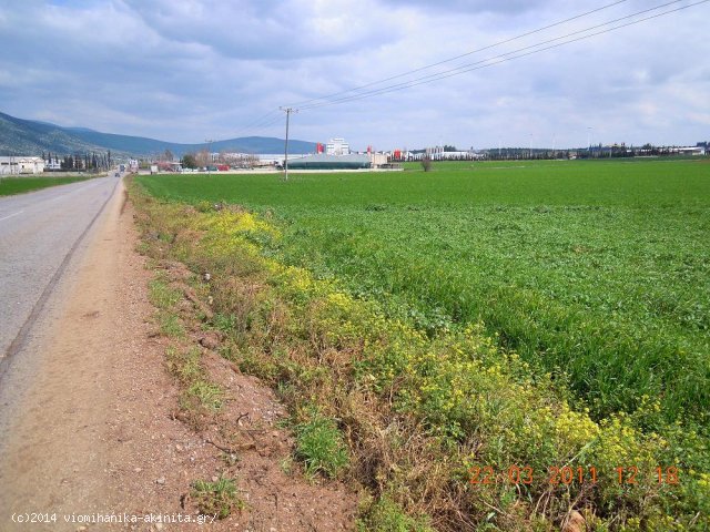 Θήβα Βιομηχανική έκταση 480 Στρεμ. - Κωδ. 476