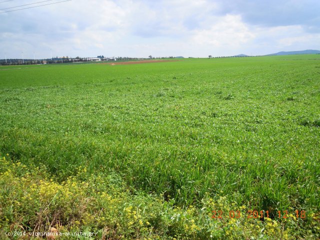 Θήβα Βιομηχανική έκταση 480 Στρεμ. - Κωδ. 476 — Φωτογραφία 2