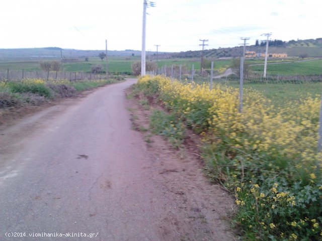 Θήβα ʼΑρμα Βιομηχανική Έκταση 5 Στρεμ. - Κωδ. 478