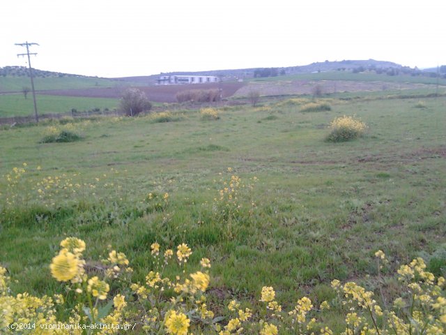 Θήβα ʼΑρμα Βιομηχανική Έκταση 5 Στρεμ. - Κωδ. 478 — Φωτογραφία 2