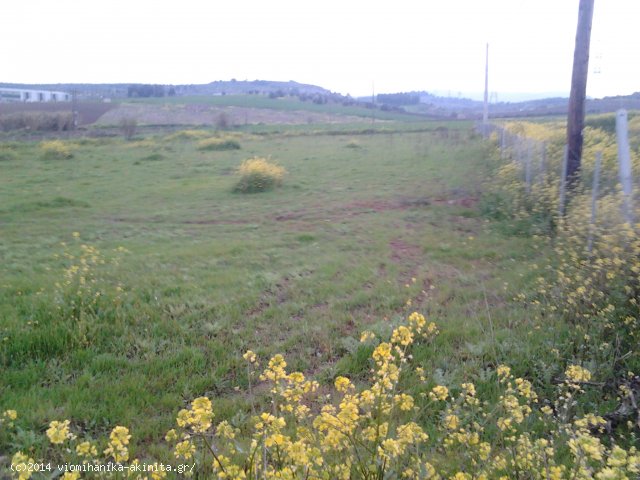 Θήβα ʼΑρμα Βιομηχανική Έκταση 5 Στρεμ. - Κωδ. 478 — Φωτογραφία 3