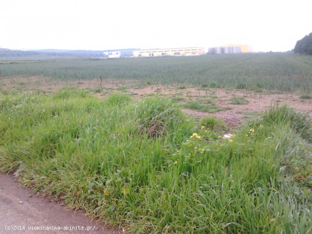 Θήβα Βιομηχανική Έκταση 22 Στρεμ. - Κωδ. 478 — Φωτογραφία 2