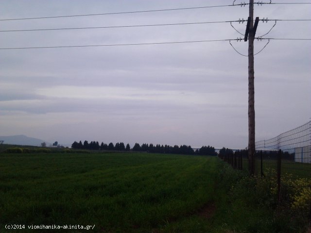 Θήβα Βιομηχανική Έκταση 8,5 Στρεμ. - Κωδ. 479 — Φωτογραφία 2