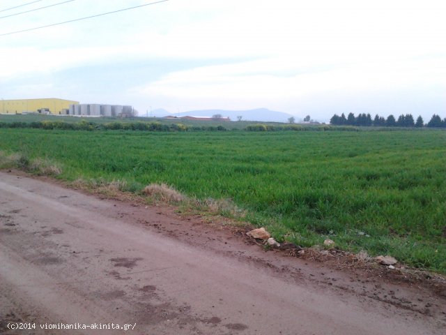 Θήβα Βιομηχανική Έκταση 8,5 Στρεμ. - Κωδ. 479 — Φωτογραφία 4