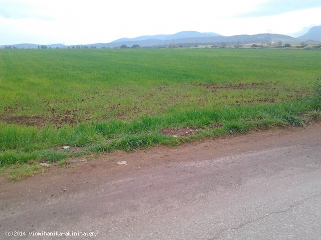 Θήβα Βιομηχανική Έκταση 40 Στρεμ. - Κωδ. 480