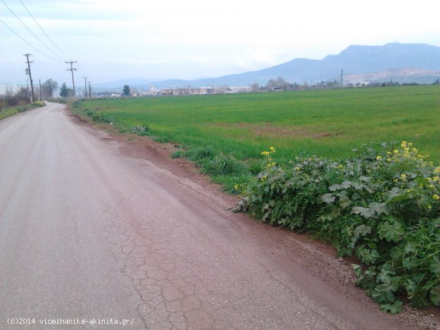 Θήβα Βιομηχανική Έκταση 40 Στρεμ. - Κωδ. 480 — Φωτογραφία 3