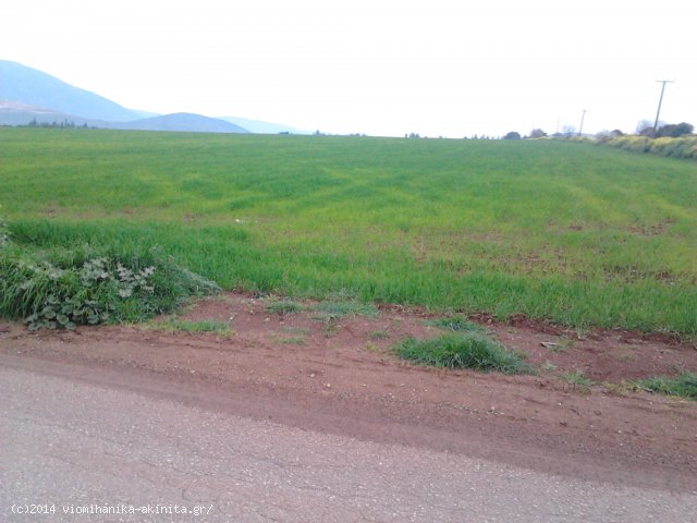 Θήβα Βιομηχανική Έκταση 40 Στρεμ. - Κωδ. 480 — Φωτογραφία 4