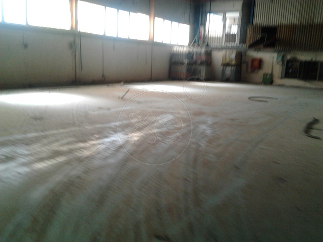 Οινόφυτα Βιομηχανικό Κτίριο 3.900τ.μ. - Κωδ. 787 — Φωτογραφία 4