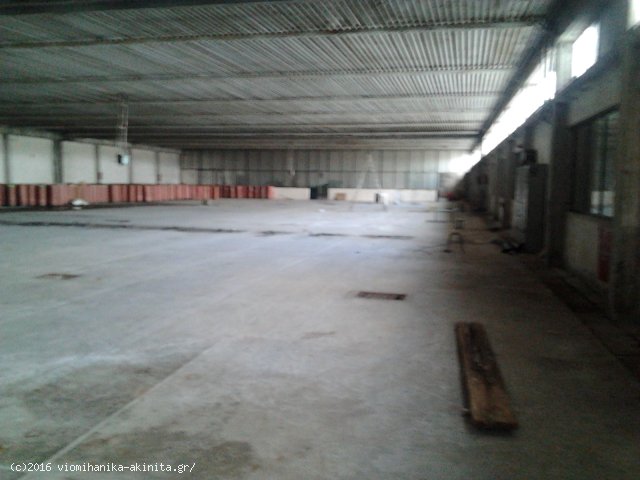 Οινόφυτα Βιομηχανικό Κτίριο 2500τμ - Κωδ. 547