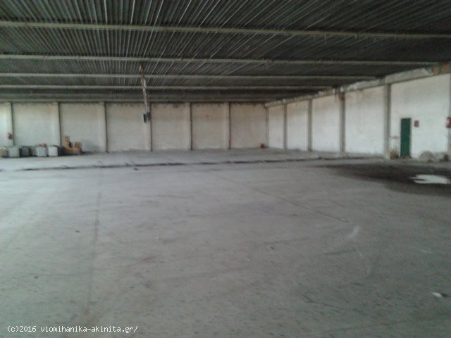 Οινόφυτα Βιομηχανικό Κτίριο 2500τμ - Κωδ. 547 — Φωτογραφία 2