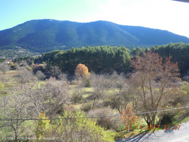 Ν. Αρκαδίας Βυτίνα Έκταση 400 Στρεμμάτων - Κωδ. 585