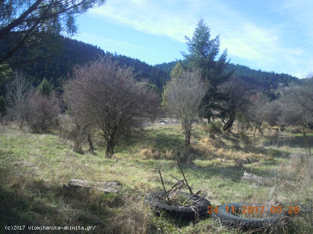 Ν. Αρκαδίας Βυτίνα Έκταση 400 Στρεμμάτων - Κωδ. 585 — Φωτογραφία 10