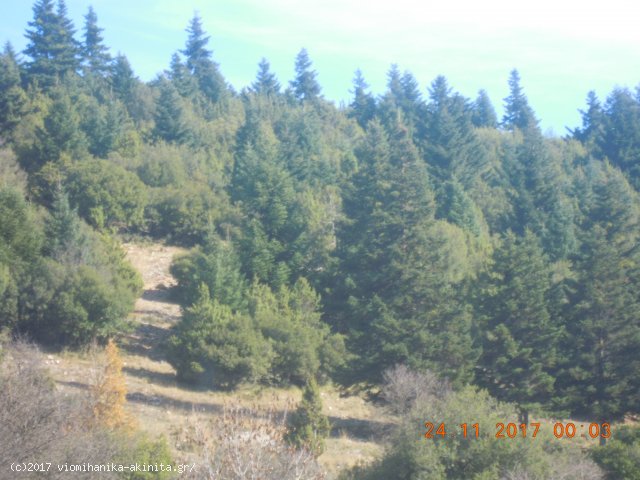 Ν. Αρκαδίας Βυτίνα Έκταση 400 Στρεμμάτων - Κωδ. 585 — Φωτογραφία 2