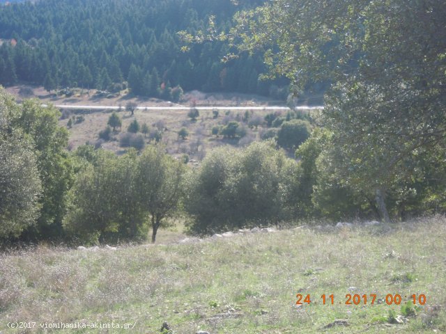 Ν. Αρκαδίας Βυτίνα Έκταση 400 Στρεμμάτων - Κωδ. 585 — Φωτογραφία 3