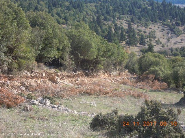 Ν. Αρκαδίας Βυτίνα Έκταση 400 Στρεμμάτων - Κωδ. 585 — Φωτογραφία 4