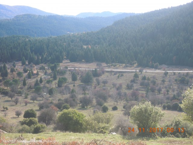 Ν. Αρκαδίας Βυτίνα Έκταση 400 Στρεμμάτων - Κωδ. 585 — Φωτογραφία 6