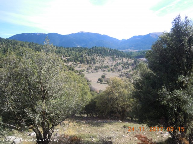 Ν. Αρκαδίας Βυτίνα Έκταση 400 Στρεμμάτων - Κωδ. 585 — Φωτογραφία 7