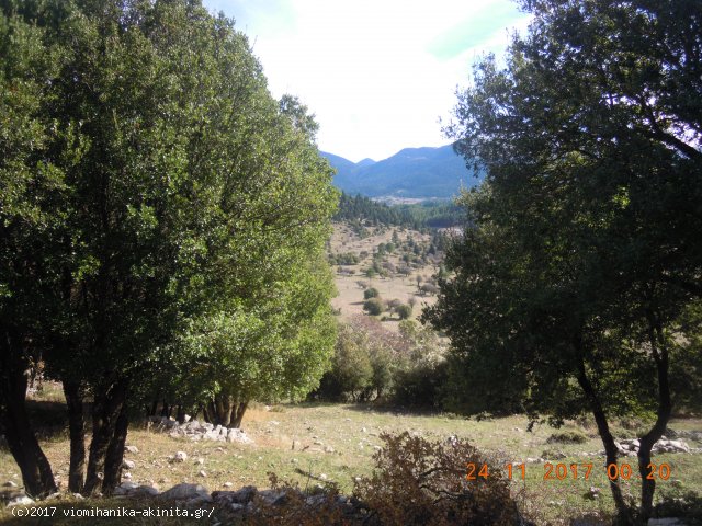 Ν. Αρκαδίας Βυτίνα Έκταση 400 Στρεμμάτων - Κωδ. 585 — Φωτογραφία 9