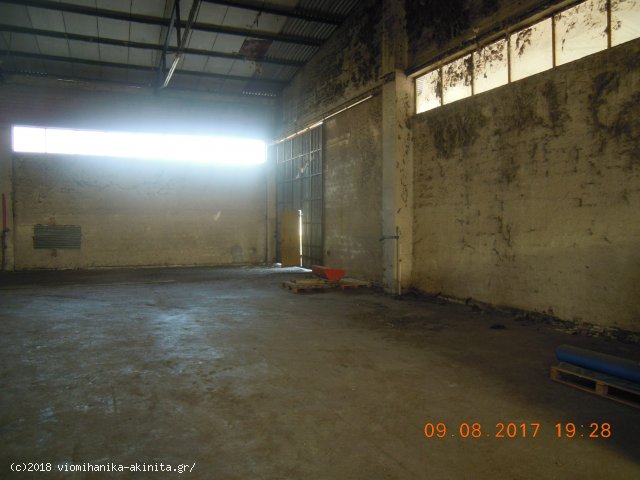 Λαμία Βιομηχανικό Κτίριο 3838,85τμ - Κωδ. 593 — Φωτογραφία 2