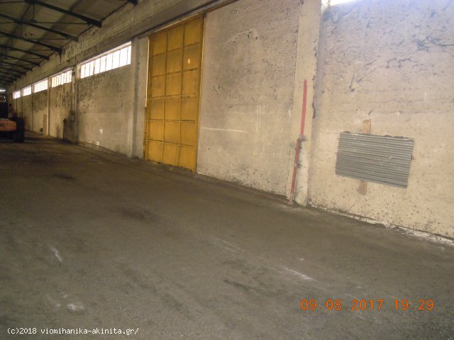 Λαμία Βιομηχανικό Κτίριο 3838,85τμ - Κωδ. 593 — Φωτογραφία 3