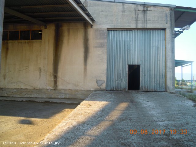 Λαμία Βιομηχανικό Κτίριο 3838,85τμ - Κωδ. 593 — Φωτογραφία 6