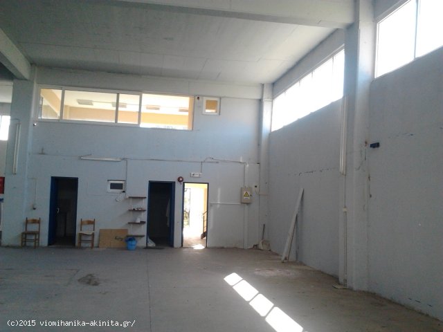 Οινόφυτα Βιομηχανικό Κτίριο 2.162 τμ Κωδ. 629 — Φωτογραφία 3
