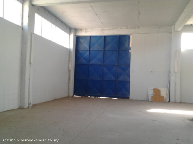 Οινόφυτα Βιομηχανικό Κτίριο 2.162 τμ Κωδ. 629 — Φωτογραφία 4